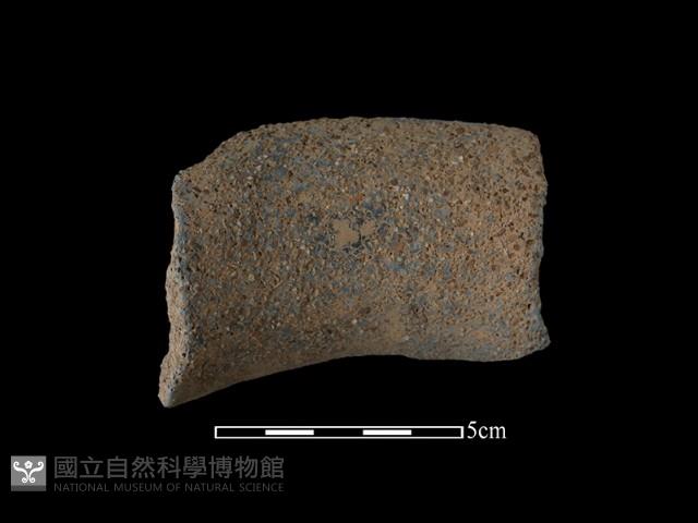 陶罐藏品圖，第1張