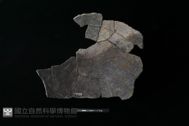 陶片藏品圖，第2張