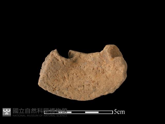 陶罐藏品圖，第1張