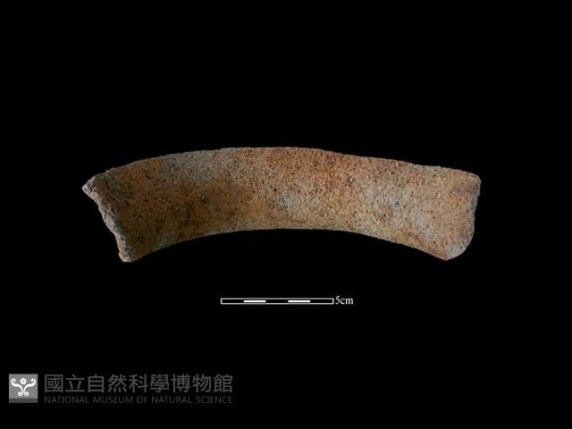 陶罐藏品圖，第1張