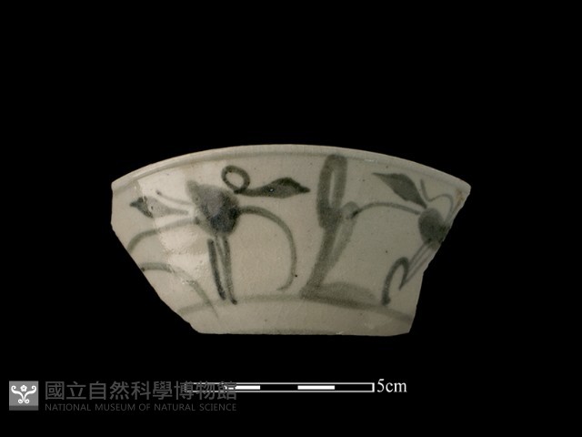 瓷片藏品圖，第2張