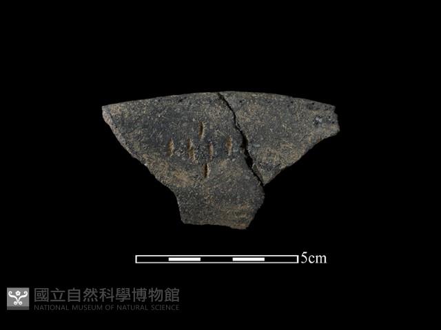 陶片藏品圖，第2張