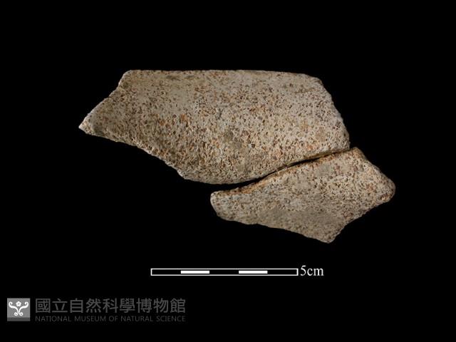 陶罐藏品圖，第2張