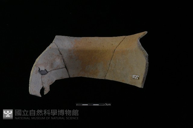 陶罐藏品圖，第1張