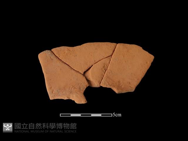 連杯形器藏品圖，第1張