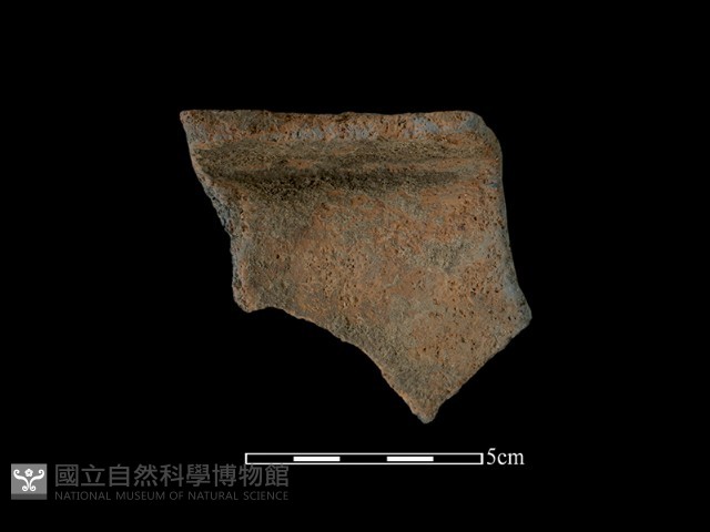 陶罐藏品圖，第1張