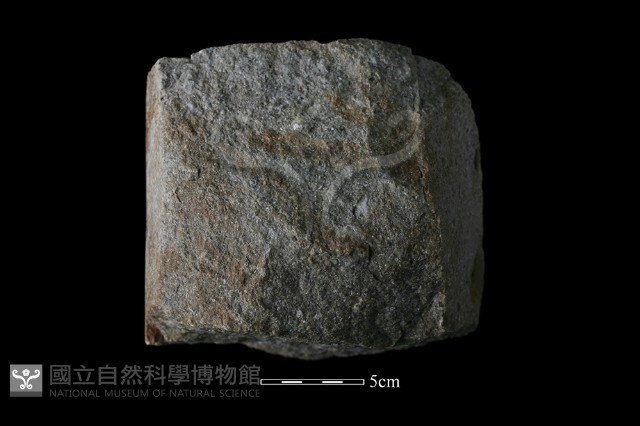 石核藏品圖，第2張