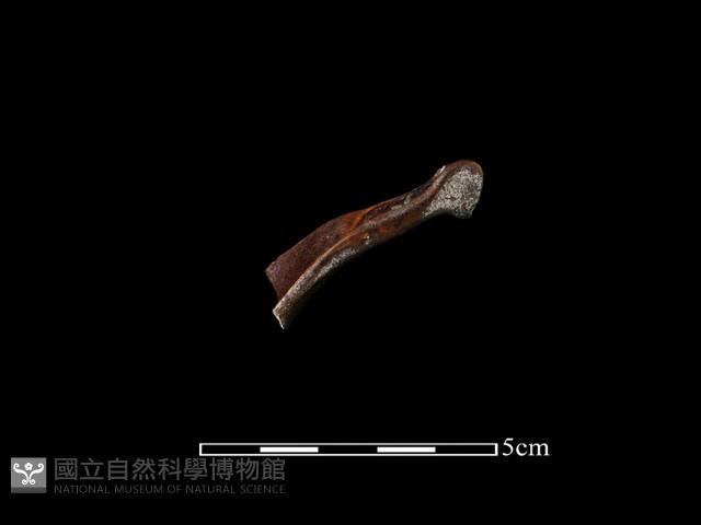 湯匙藏品圖，第2張