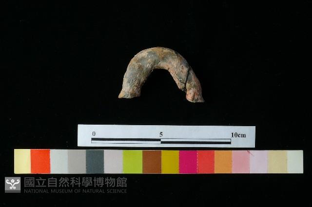 Accession Number:MTP-2012-PT243 Collection Image, Figure 2, Total 3 Figures