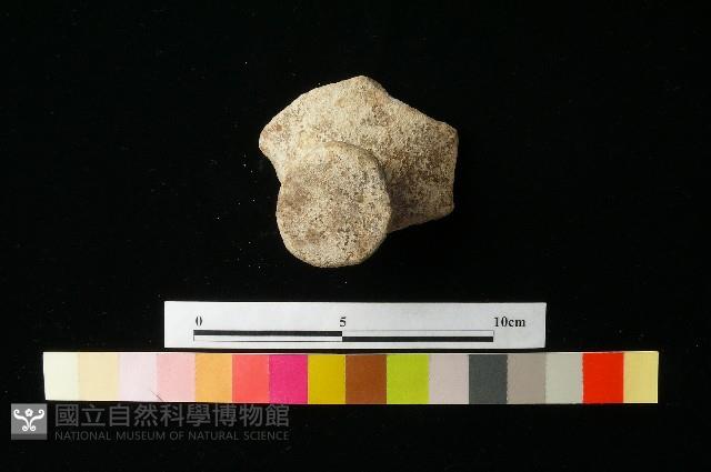 陶蓋藏品圖，第1張