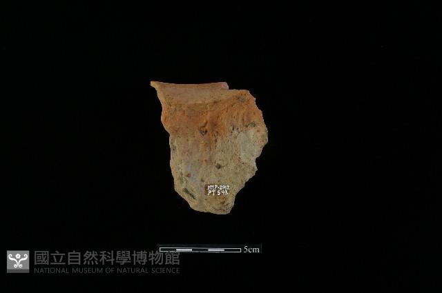 陶罐藏品圖，第2張