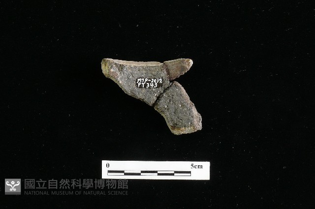 陶罐藏品圖，第1張