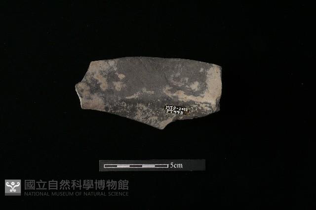 陶罐藏品圖，第1張