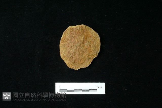 石片器藏品圖，第1張