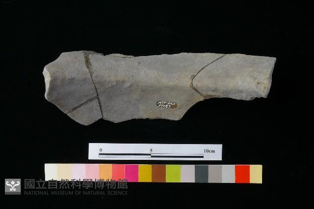 陶罐藏品圖，第3張