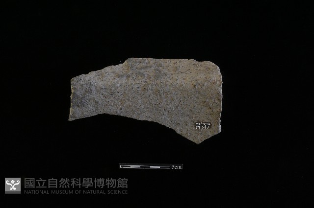 陶片藏品圖，第1張