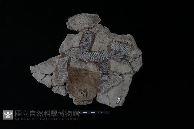 陶片藏品圖，第2張