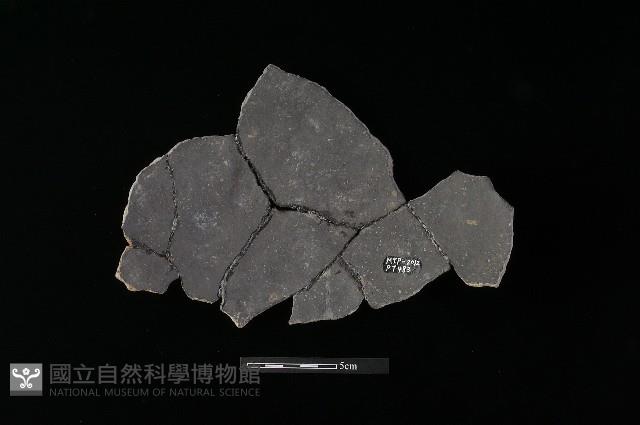 陶片藏品圖，第2張