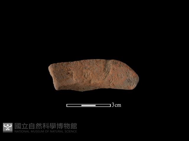 陶罐藏品圖，第1張