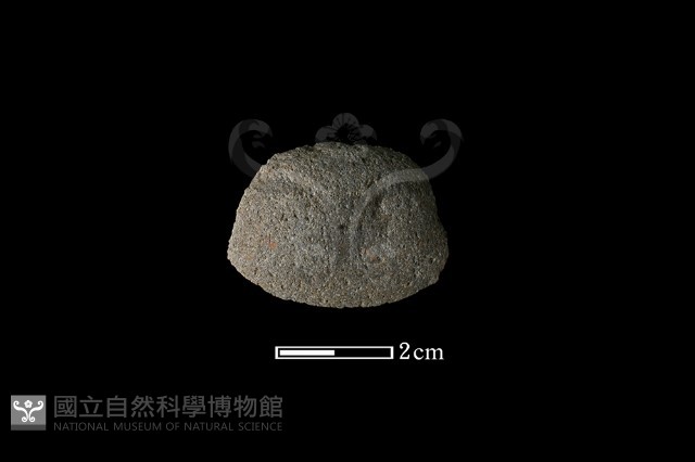 石片器藏品圖，第2張