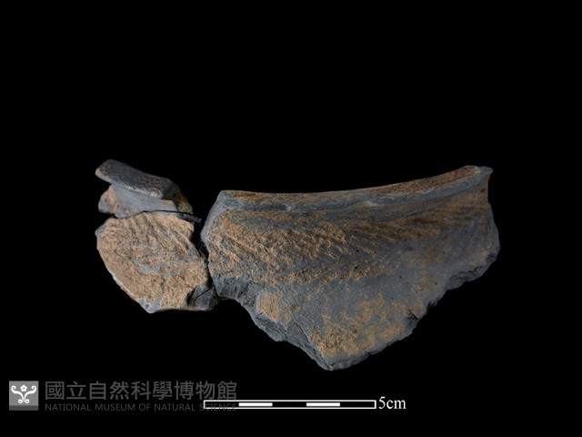 陶罐藏品圖，第2張