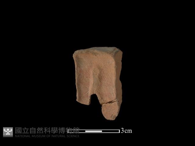 陶片藏品圖，第2張