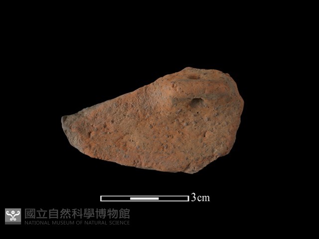 陶鈕藏品圖，第2張