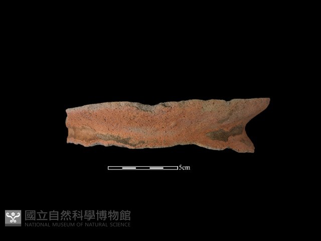 陶罐藏品圖，第2張