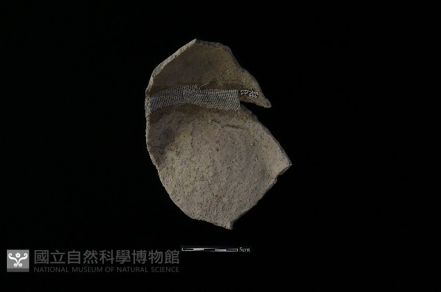 陶片藏品圖，第2張