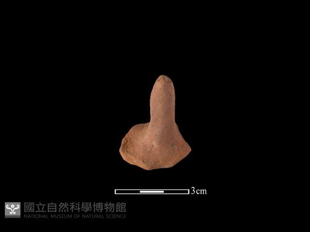 陶蓋鈕藏品圖，第2張