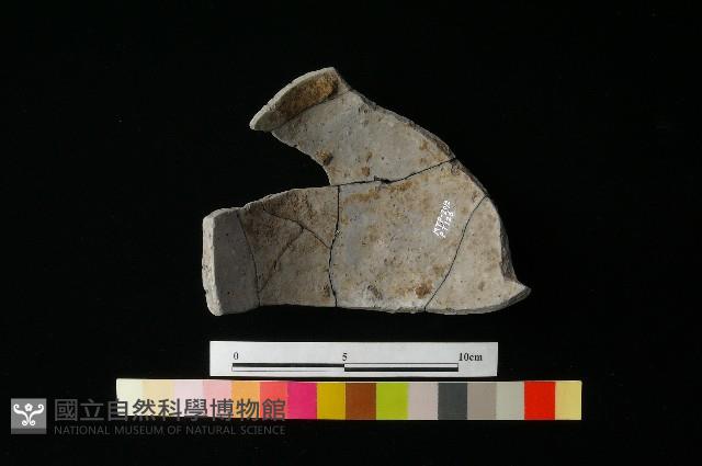 陶片藏品圖，第2張