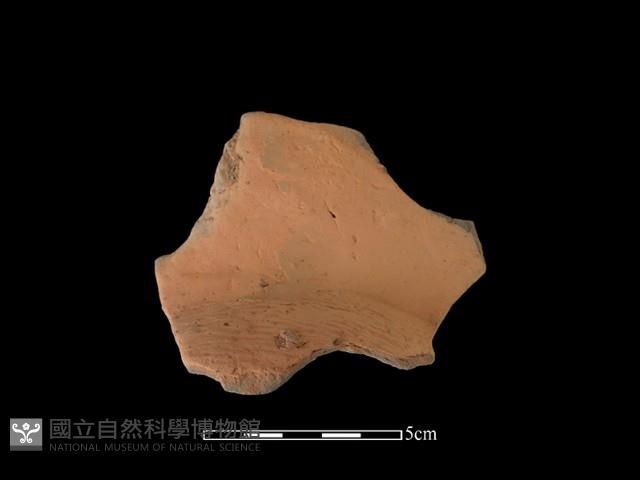 連杯形器藏品圖，第2張