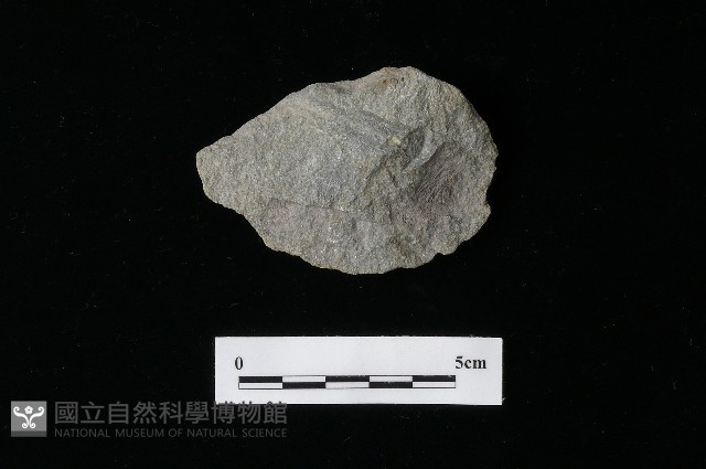 石片器藏品圖，第1張