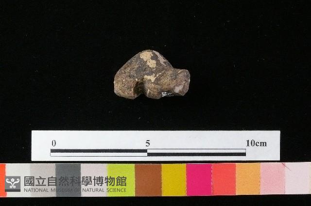 陶蓋藏品圖，第2張