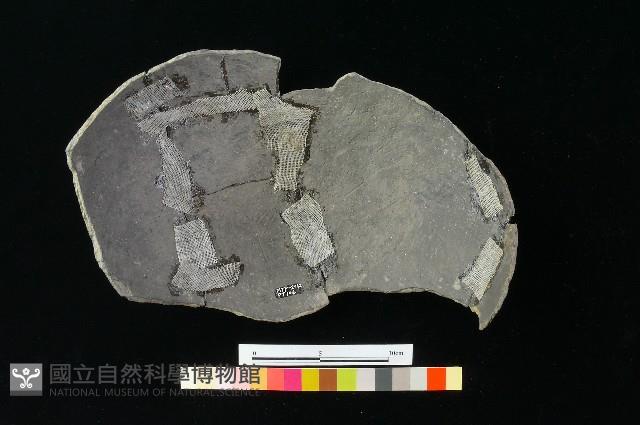 陶片藏品圖，第1張