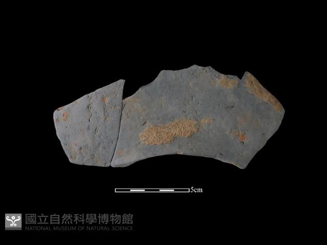 連杯形器藏品圖，第1張