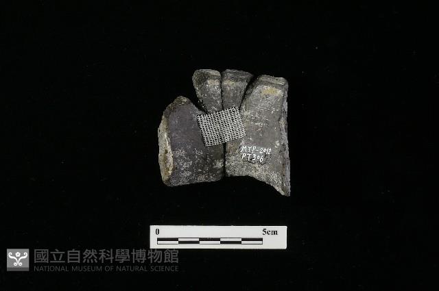 陶罐藏品圖，第1張