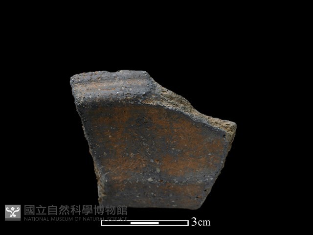 陶片藏品圖，第1張