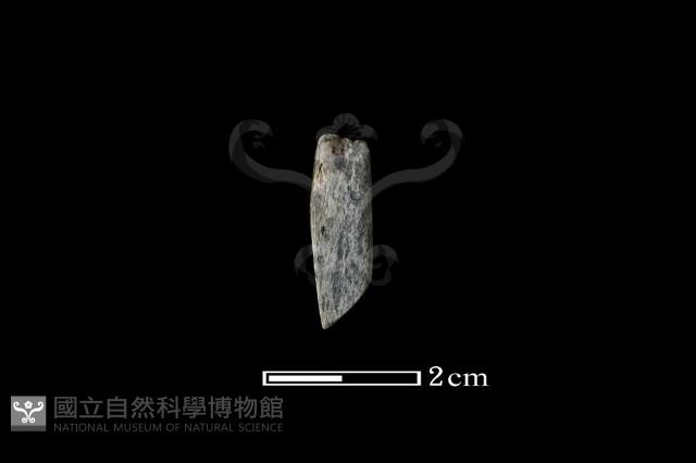 錛鑿形器藏品圖，第2張