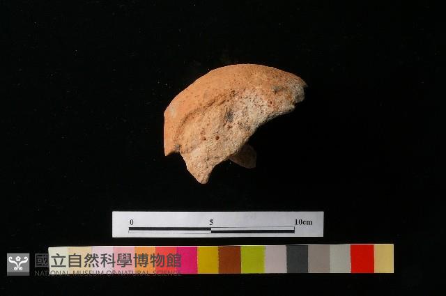 陶蓋藏品圖，第2張