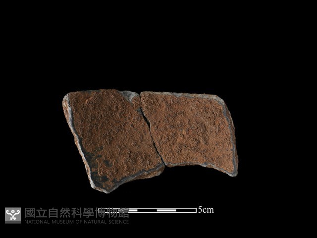 陶罐藏品圖，第2張