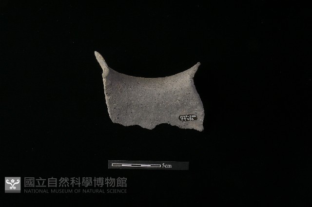 陶罐藏品圖，第1張