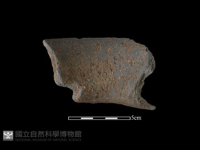 陶罐藏品圖，第1張