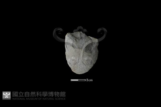 石片器藏品圖，第2張