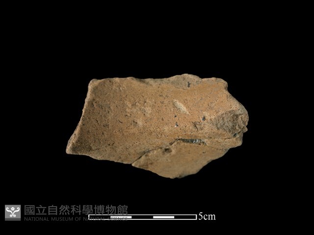 陶罐藏品圖，第2張