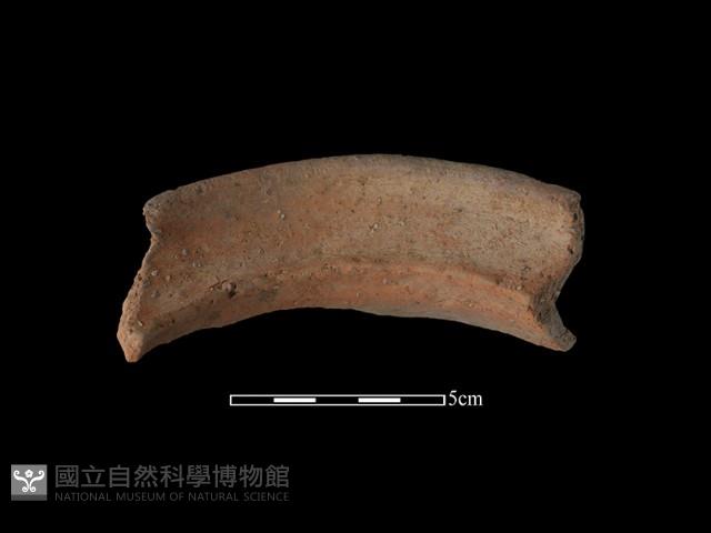 陶罐藏品圖，第1張