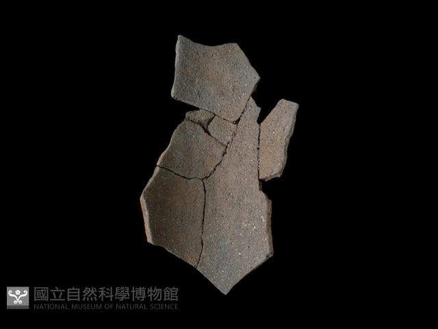 陶片藏品圖，第1張