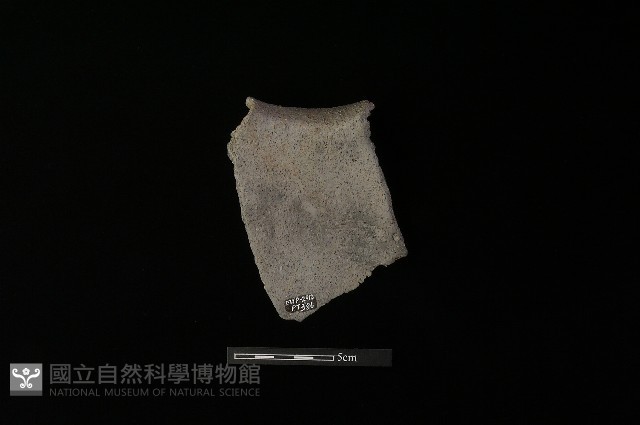 陶罐藏品圖，第3張
