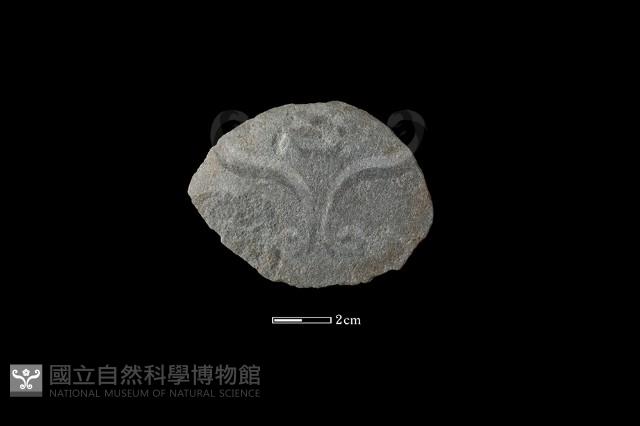 石片器藏品圖，第2張