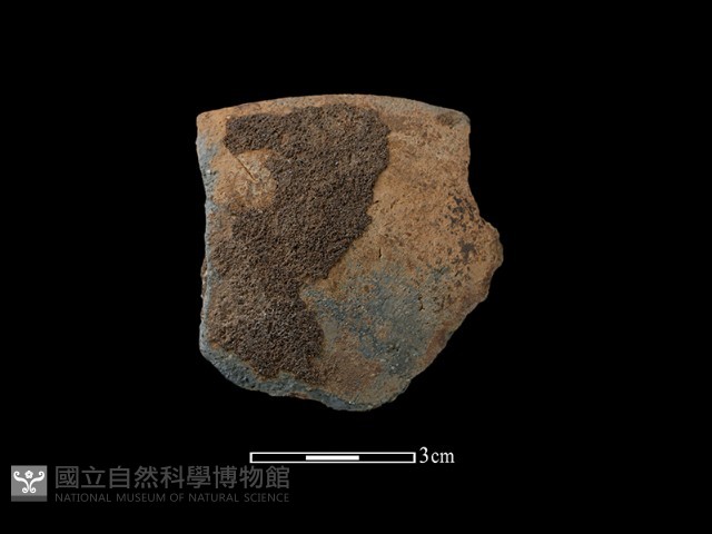 陶蓋藏品圖，第2張